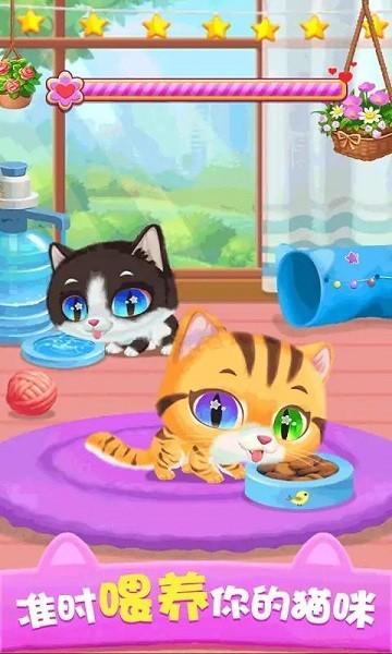 猫咪公主游戏下载,卡通游戏,猫咪游戏,猫咪公主